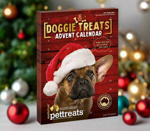 Dog wearing a Xmas hat pic on Doggie Treats Advent Calendar from My Happy Pet Online with Fast Shipping