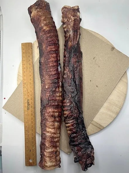 XXL BEEF TRACHEA