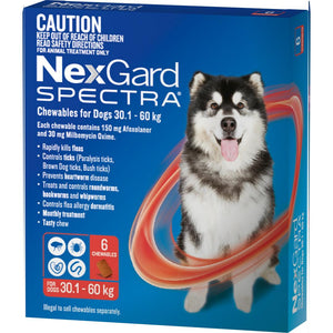 NEXGARD SPECTRA All Size DOGS up to 60kg